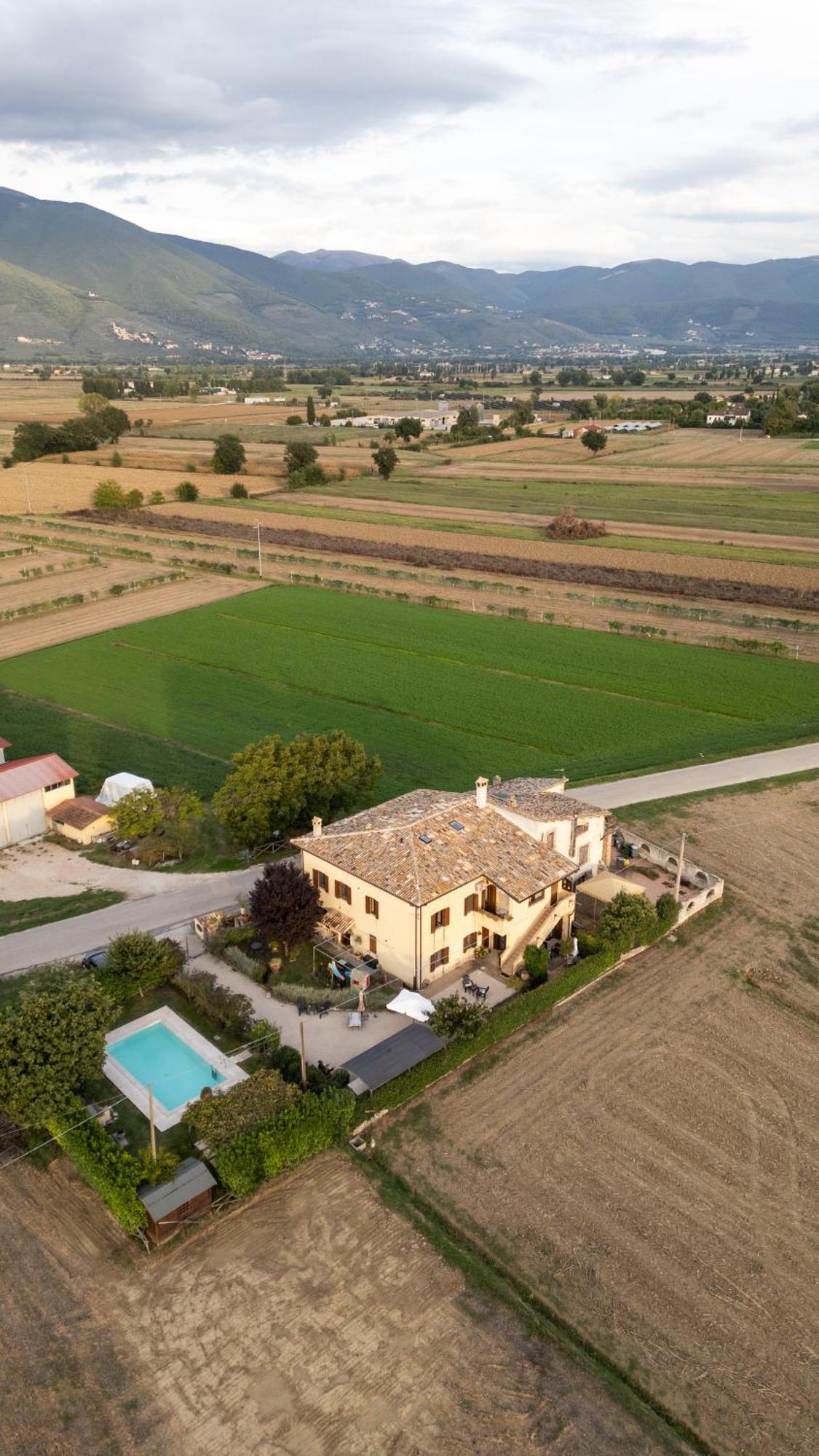 Casa Cardarella Guest House Beroide Екстериор снимка