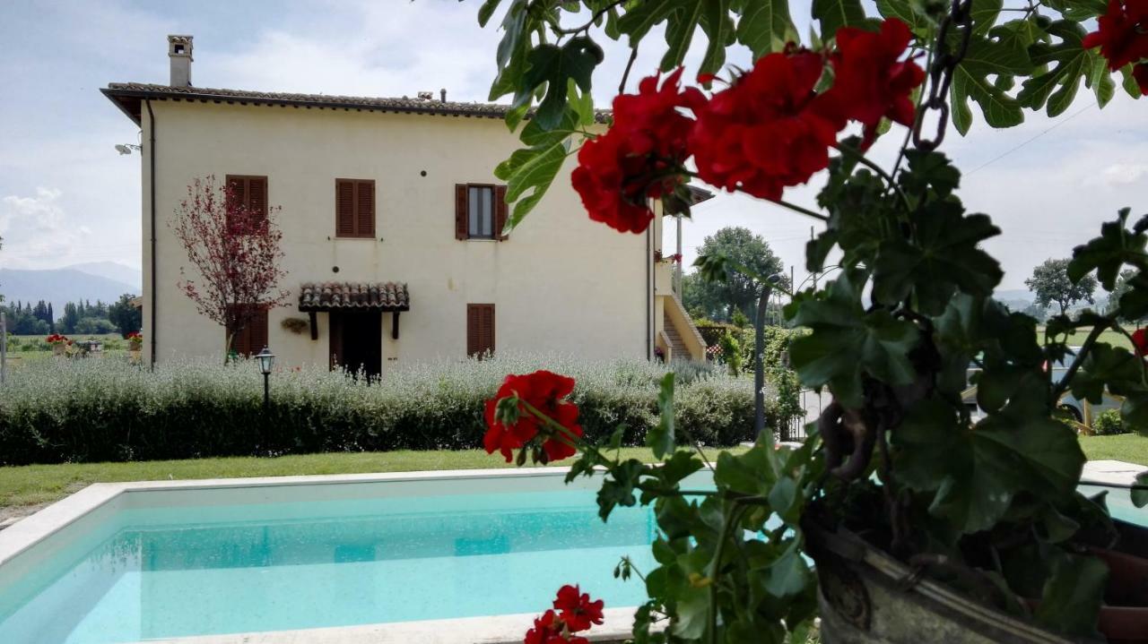 Casa Cardarella Guest House Beroide Екстериор снимка